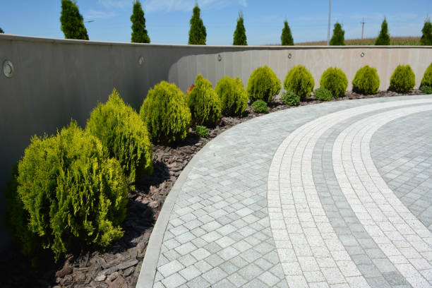Reasons to Select Us for Your Driveway Paving Requirements in Woodsboro, MD
